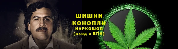 a pvp Аркадак