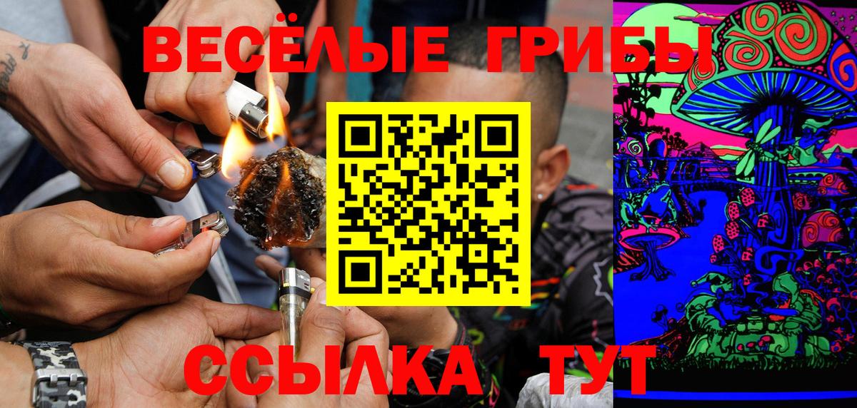 Псилоцибиновые грибы GOLDEN TEACHER Находка