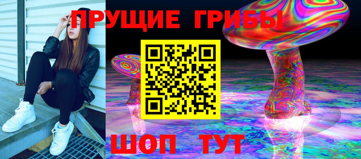 Галлюциногенные грибы MAGIC MUSHROOMS  Псилоцибиновые грибы Cubensis  Находка  Вход с VPN 